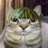 Profilbild von Handiinu