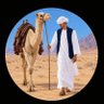 Fouad hussein 的头像