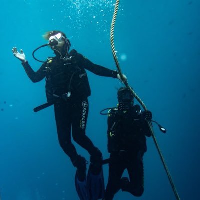 Natalia Velilla 🇪🇺's profile picture