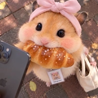 Mufasapw's profile picture