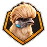 Chickens profil fotoğrafı