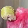 Rose Almond Polansky (miu)'s profile picture
