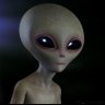 👽 的头像