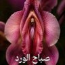 Фото профиля hishah