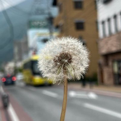 nenanemo's profile picture