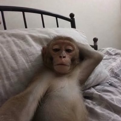 memuu27's profile picture