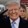 Democracy Manifest's profile picture