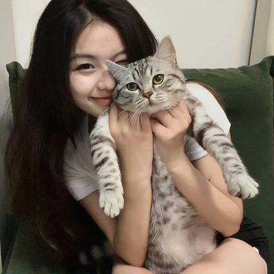 dominichgrydj's profile picture