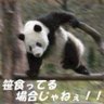 Фото профиля 星猫子猫