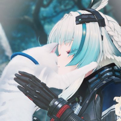 のる☕'s profile picture