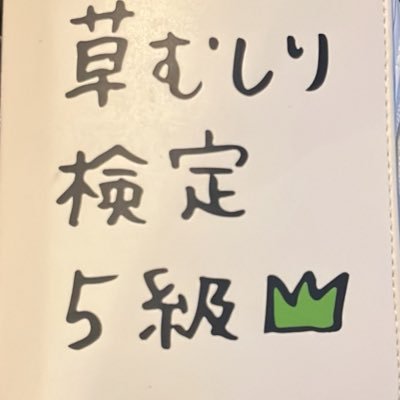 mimimidarts39's profile picture