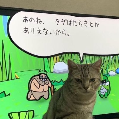9DJHe3CUFh29674's profile picture