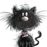 Profilbild von EL GATO LUCCA.