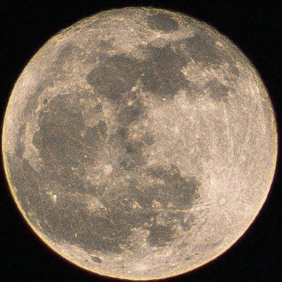 CHICO's profile picture