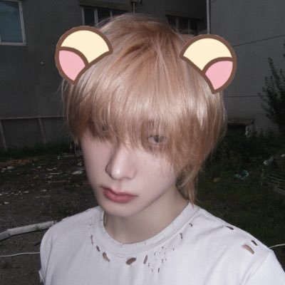 msncoaster's profile picture