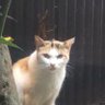 銀行強盗団's profile picture