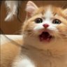 𝚂𝚒 𝚃𝚑𝚒𝚊𝚗𐔌՞. .՞𐦯 profil fotoğrafı
