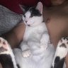 naju's profile picture