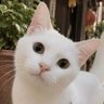 Worldfunny 的头像