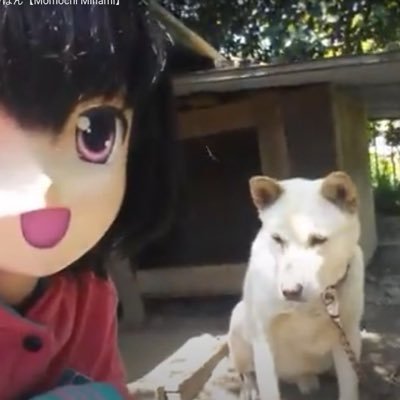 y8kon's profile picture