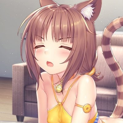 miha :3 | shedtwt's profile picture