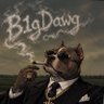 B1gDawg's profile picture