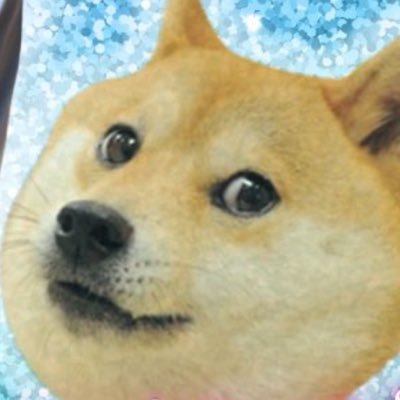jjpp's profile picture