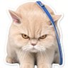 ฉันเล่าแล้วเธอห้ามบอกใครนะ's profile picture