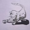 raghu indra's profile picture