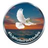 Anja das Nordlicht 🕊🕊🕊 profil fotoğrafı