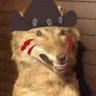 Profilbild von Maverick➡️ AC26