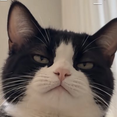 onitsukatiger90's profile picture