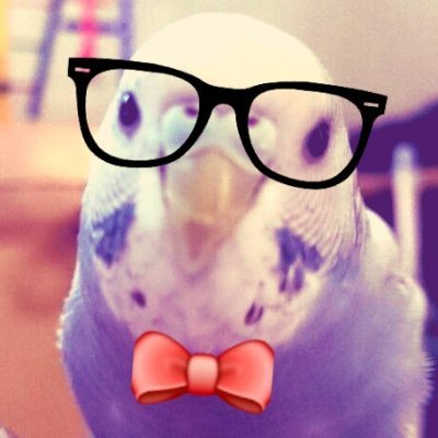 paolamaoo's profile picture