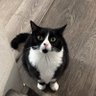 Profilbild von Max Boi