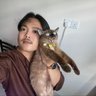 dandelion's's profile picture