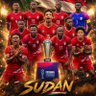 انسanas_🇸🇩💚💚🇸🇩's profile picture