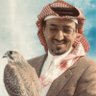 Profilbild von abu nasser