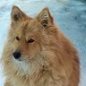 Profilbild von Кореш