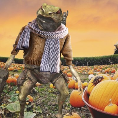 EDF_OFFICIAL_EN's profile picture