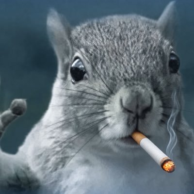 Sunny D's profile picture