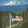 Certified American's profile picture