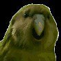 Profilbild von oportunidade09