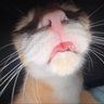 Profilbild von CNNรัคหริงออมุทิสุดในโลกกก