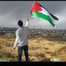Nageeb's profile picture