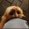 ْ's profile picture