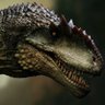 Giganotosaurus profil fotoğrafı