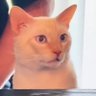 Rico's profile picture