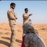 🇦🇪's profile picture