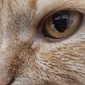 JB profil fotoğrafı