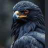 BaLCK EaGLE 的头像